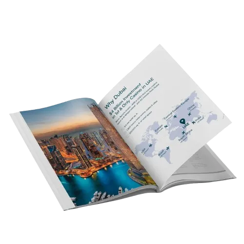 Dubai property guide